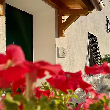 Il Sartore 4*